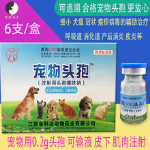 ����ע�����^����߻�c����؈��Ƥ�w���������������Ⱦ��ᘄ�Ȯ��