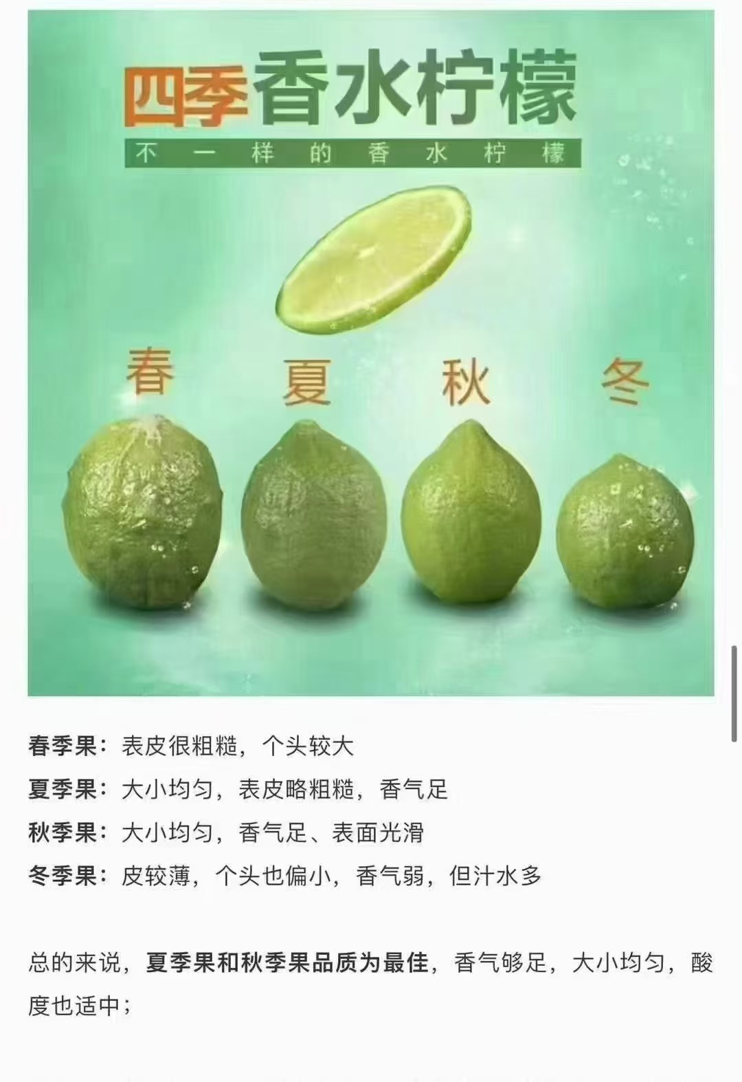 微信图片_20250419220959