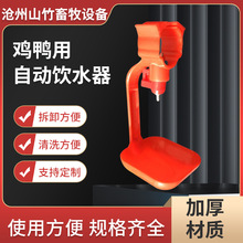 �������y�u�ˮ��С�u���Z�������ܵ������ݑ������r�ˮ����̖