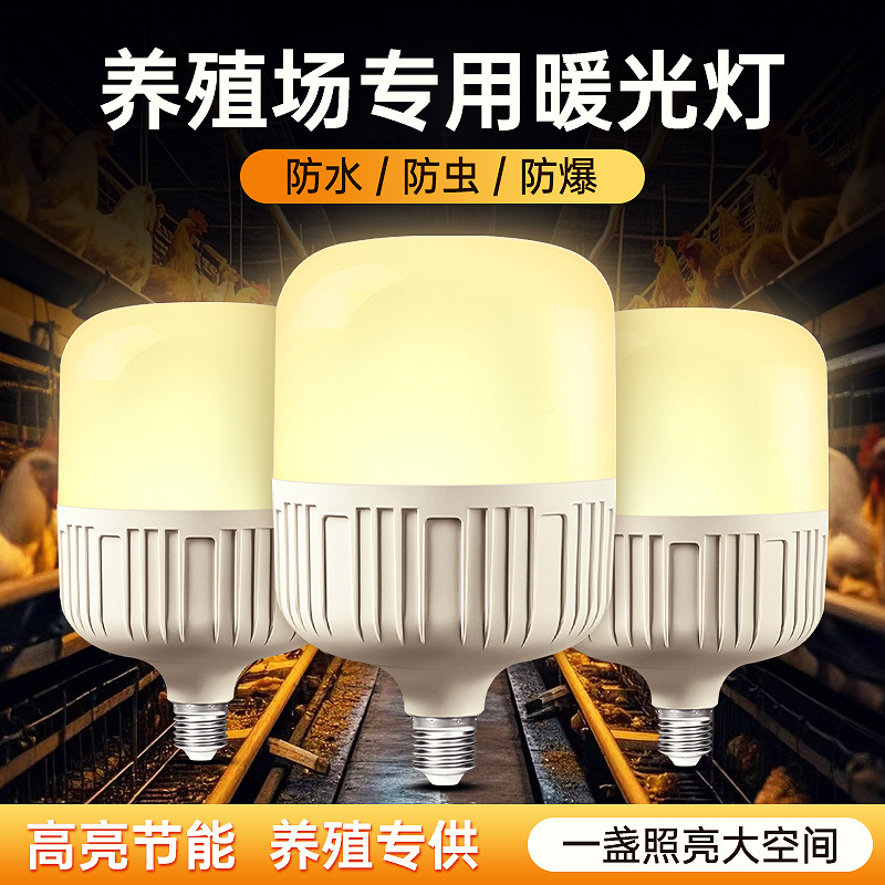 Warm Light Led Bulb E27 Screw Bulb High Brightness Household Yellow White Light High Rich Handsome Bulb Indoor Energy-Saving Bulb