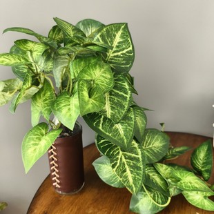 ������������~�ڒ��~�������^�~�ҾӘӰ��g��c�Ƶ꾰�^�b�ֲ��