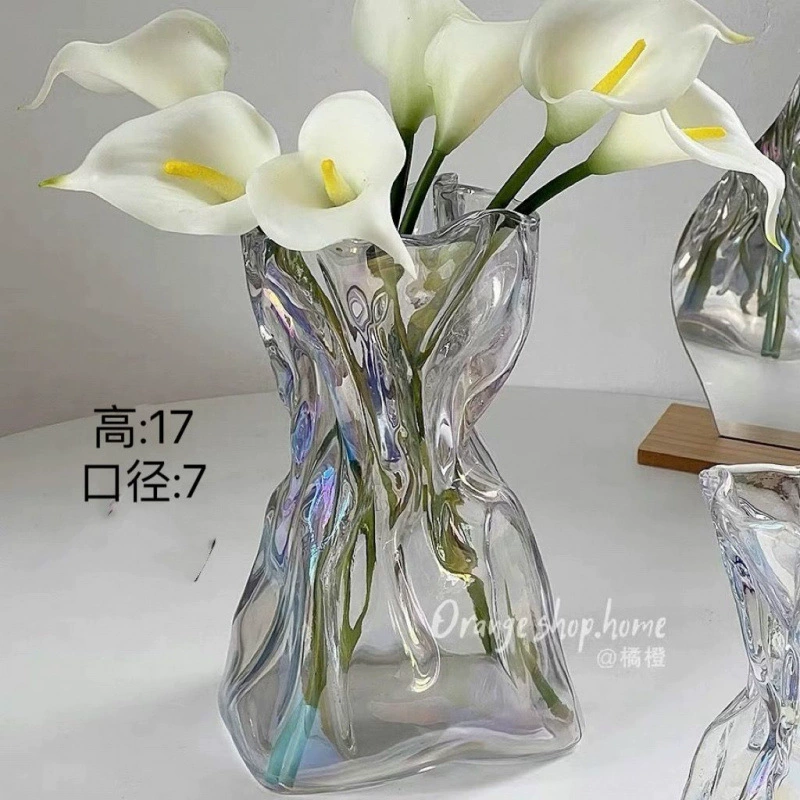 创意桌面透明简约不规则插花玻璃花瓶水养感装饰摆件民宿客厅