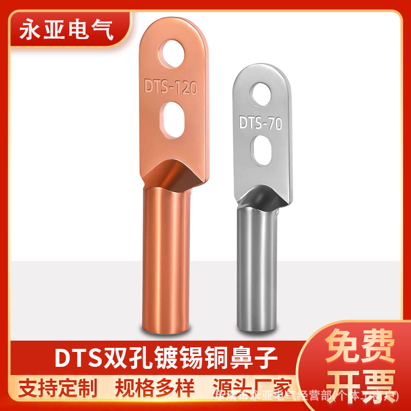 DTS双孔铜鼻子两孔线鼻子国标紫铜镀锡双孔接线端子双眼堵油线耳