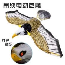 仿真吊线鸟 能飞会叫的老鹰鹦鹉 发光发声电动掉线飞鹰 动物玩具