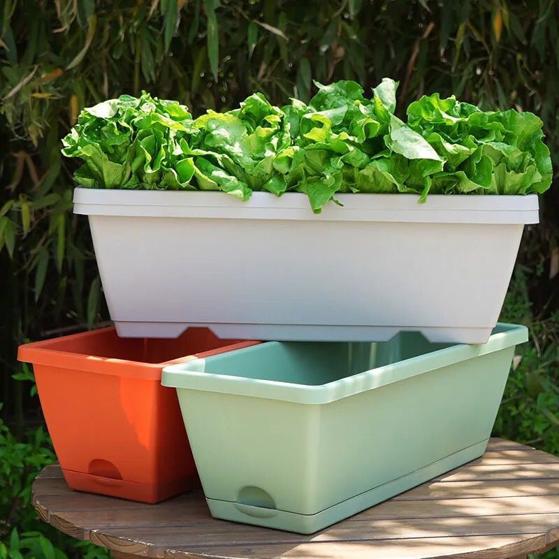新型霍倫種野菜鉢家庭用ベランダに大きな植木鉢を厚くする野菜鉢霍倫鉢栽培鉢プラスチック植木鉢|undefined