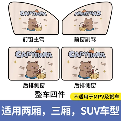 Car curtains, curtain sun protection and heat - kapibala-magnetic-full-car
