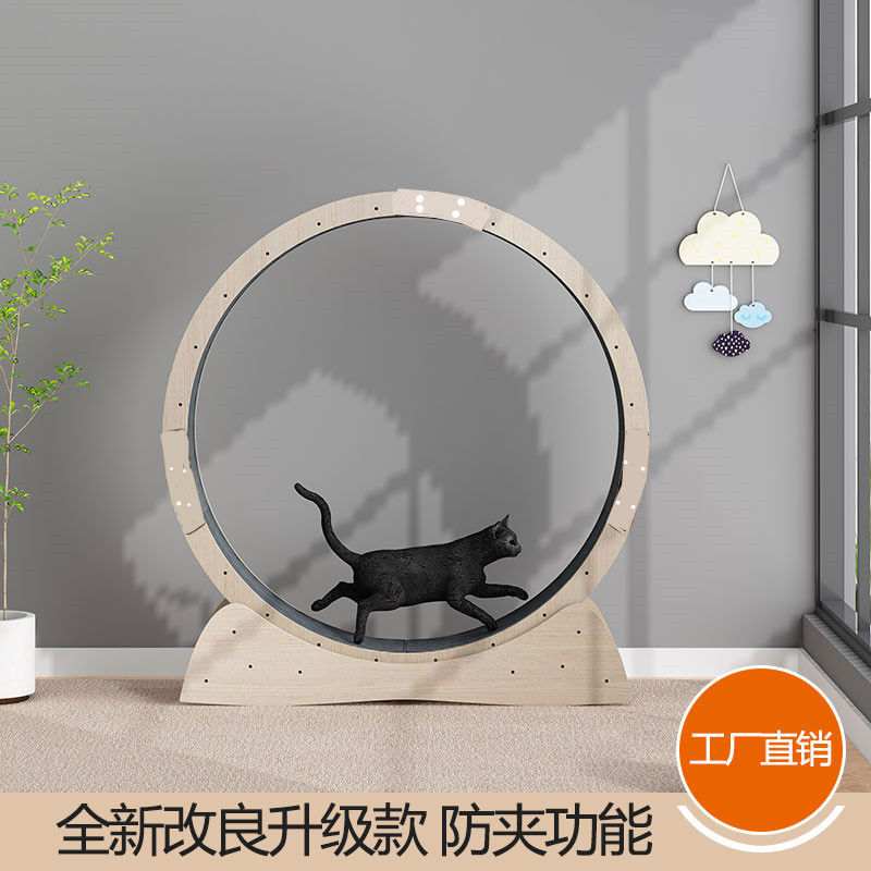 고양이 런닝머신 인터넷 연예인 모델 롤러 샤프트리스 다층 단단한 보드 트랙 롤러 피트니스 고양이 장난감 제조 업체 직접 판매