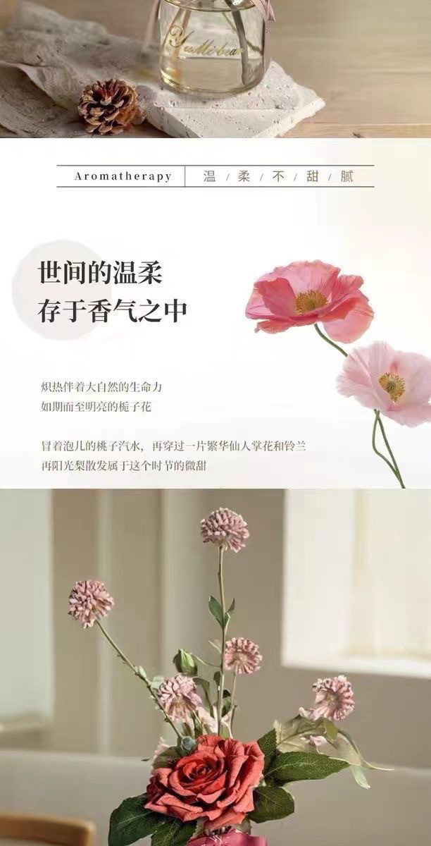 08835d79-7822-46f3-a37e-a5165b8bd7fe.jpe