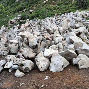 ̫��ʯ���^ʯ���l ��С�͈@�־��^ ͥԺ��ɽ���̳н��쾰�L��ʯ