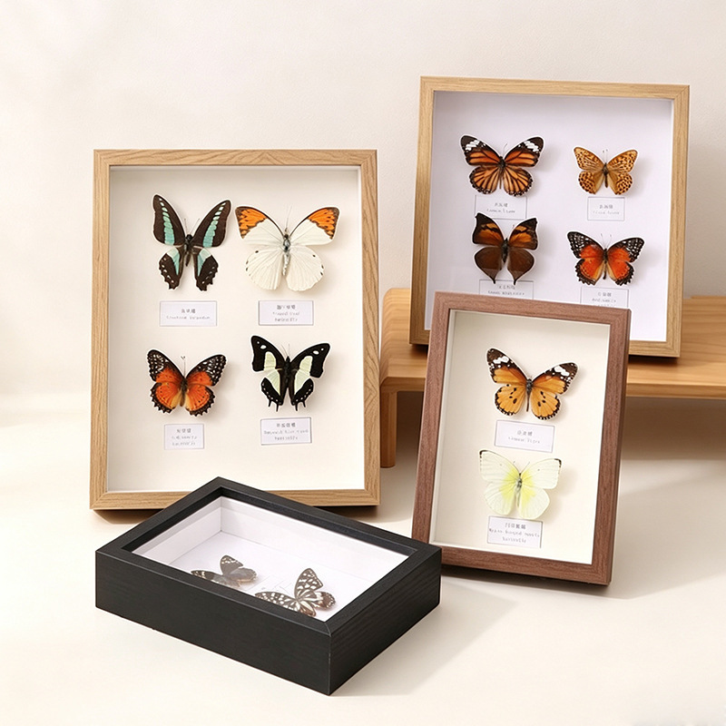 Hollow 6inch photo frame stand DIY butterfly A4 insect specimen box frame dried flower preservation display frame picture frame Hollow 6inch photo frame stand DIY butterfly A4 insect specimen box frame dried flower preservation display frame picture frame