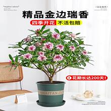 ��߅�������ԝ����͎������҃ȿ͏d�̨�ͺ��Ϙ������ļ�����ֲ��