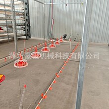 厂家供应地面平养喂养一体化鸡鸭鹅自动喂料线绞龙式养殖上料系统