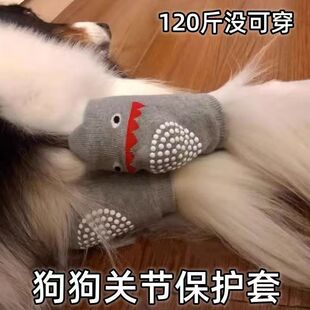 ��ĥ�o�����Ȯ�P�����o�m�׃�ͯ�oϥ��ë���������K����Ȯ������