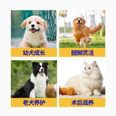 Factory directly supplies pet shark chondroitin tablets, dog joint treasure, joint nutrition vitamins, and joints