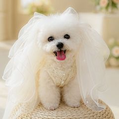 現物クロスボーダー爆発金ペット子犬猫白い蝶結び花嫁のベールのウェディングドレスの源工場直売卸売り