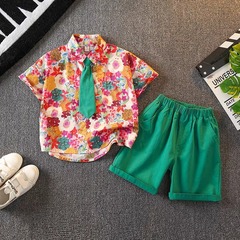 Children's Clothing Boys Summer Shirt Set 2024 New Style Children's Beach Wear Boys Baby Summer Short Sleeves