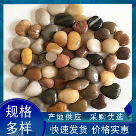 厂家供应鹅卵石庭院花园铺路广场公园铺路用3-8