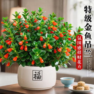 ���~���m������ؔ��լ�������k���ҾGֲ�҃ȿ͏d��ʽ�U���ļ�ֲ��