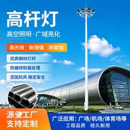 路灯厂家按图定 做15米中杆灯 含全套光源灯具开增值税，一件起批
