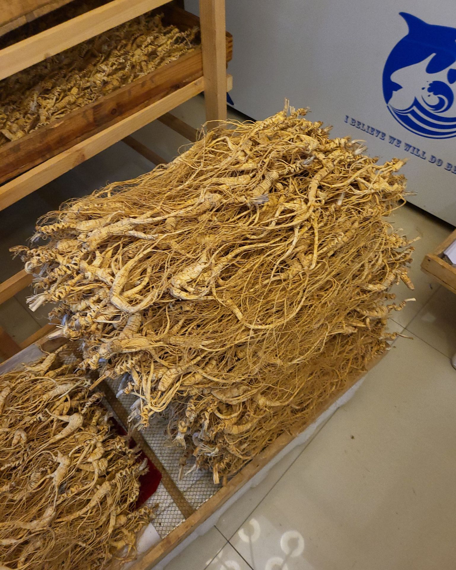 Wild Mountain Ginseng Gift Box Dried Root Slices 15 Years and Above for Soup and Decoction in use