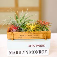 ���l�՚��P�沤�}���֌�����ֵ�ײ��߼��׺�ľ�а��]���P��x10-5