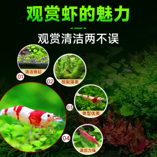 �O���r�r���^�p�r��ˮ��ˮ�����r��̖������r�ѻ�ˮ���r�坍С�r