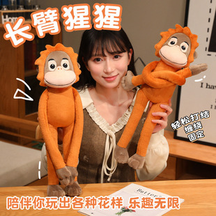 �羳������ż����ë�q��߷����L������С���ӹ��в��������Q���l