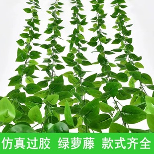 �����^�z�G�}��ɽ���~�b������ٻ��ڒ젝����~�ٗl�b�
