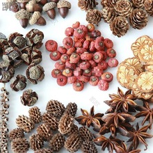 diyɹľƬ~ɻɹM}Qb׃@b[͉