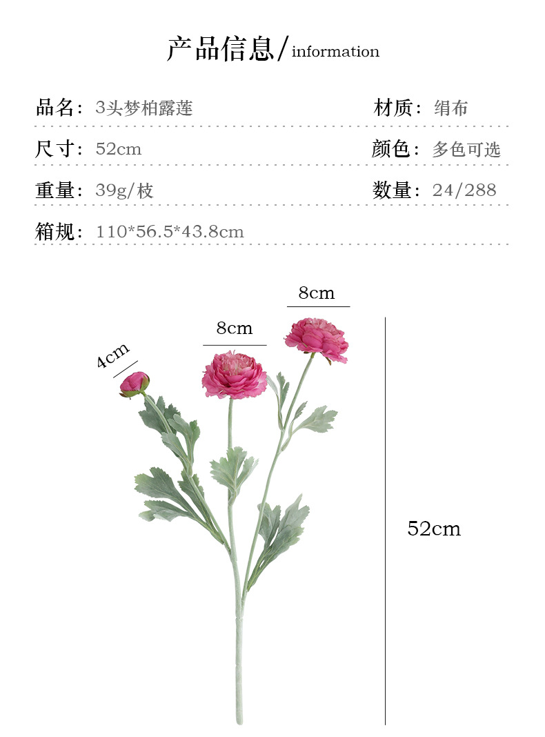 3头梦柏露莲_03.jpg