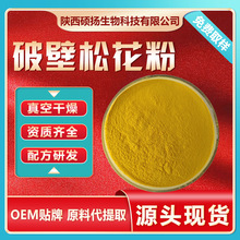 松花粉破壁松花粉马尾松花粉松花提取物松花原料粉源头厂家