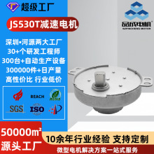 JS530T微型直流减速电机自动售货机灯饰玩具咖啡机金属齿轮箱马达