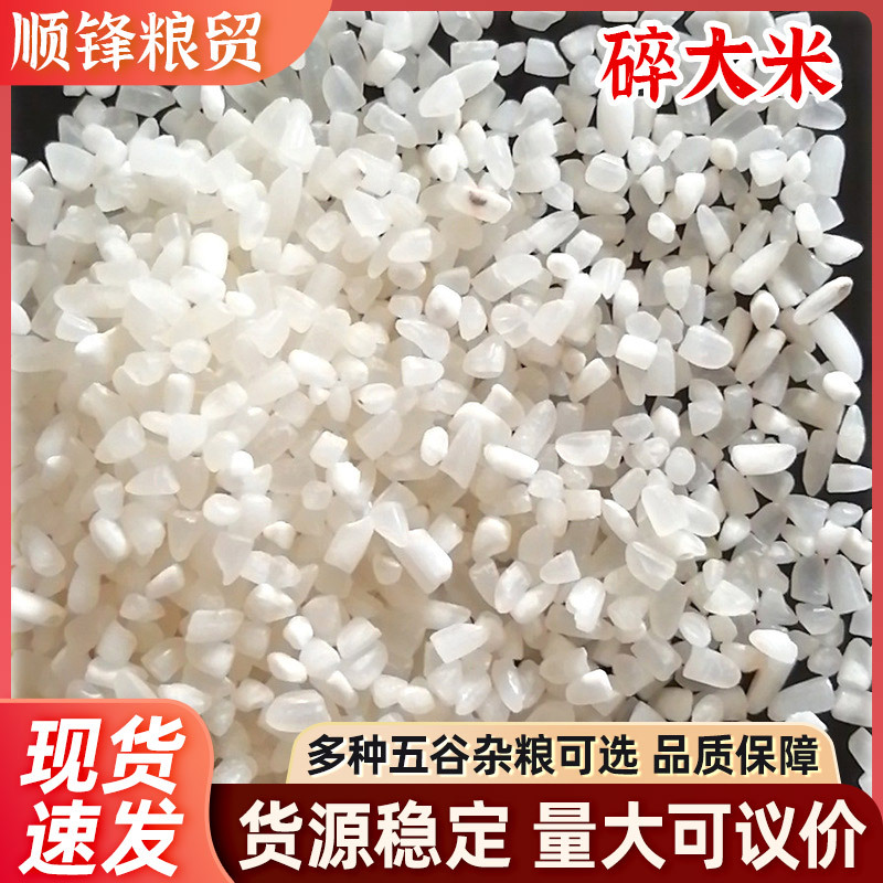 批发碎大米酿酒食用饲料袋装五谷杂粮食品厂用碎米酿酒熬粥碎米头