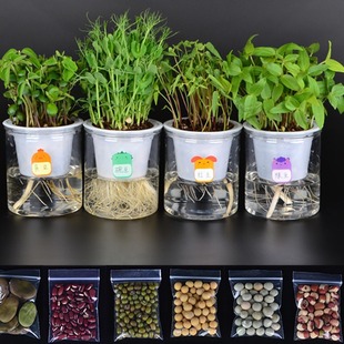 �Q���G���㶹�t�Sܿ���ˮ��N���������^��Gֲ���ˮ���׃��@