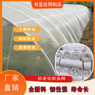 ���x�W�߲˷Nֲ���þW����Nֲ���W���@ֲ�︲�w�W60Ŀ�Ӻ���x�W