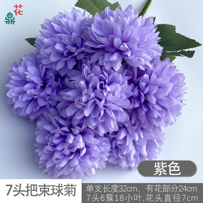 7-국화 보라색 머리 무리