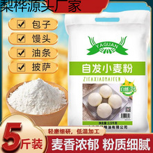 ���|��ā����͗l�l��С���ۺ決�z�^��������5��