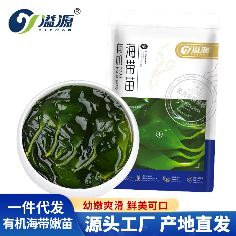 溢源有机海带苗嫩500g新鲜盐渍海带嫩苗非干货凉拌火锅芽霞浦特产
