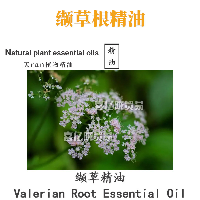 缬草根精油 Valerian root 单方精油 护肤 化妆品原料 10ml