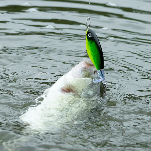 Pool blade surface tractor Luya bait cocked mouth bass blackfish special fake bait long-range floating pencil fake bait wholesale