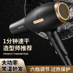 高級ヘアサロン1800wハイパワー理髪店電気ドライヤーブルーレイ冷熱ブロー筒