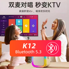 k12蓝牙音箱一体机卡拉便携唱歌迷你无线蓝牙蓝牙音响歌麦点歌家