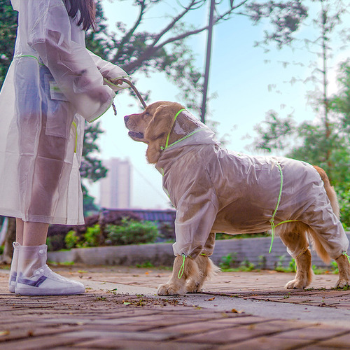 Small dog raincoat four-legged waterproof all-inclusive big dog raincoat pet medium and large dog small dog rainy day clothes poncho