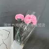 Carnation pink