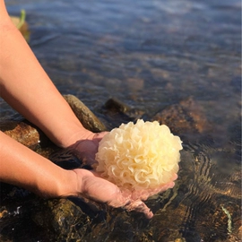 香菇;银耳;其他干货