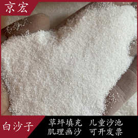厂家供应白沙子真石漆用雪花白细沙儿童娱乐彩色沙沙滩圆粒砂