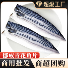 青花鱼挪威鲭鱼片青花鱼片鲐鱼片鲜冻海鲜鲐鲅鱼青花鱼商用批发