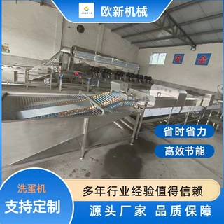 定制洗蛋机全自动蛋品清洗机蛋品加工清洗风干灭菌光检流水线设备
