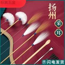 �ڶ����Ͷ��דP�ݲɶ������Zë�􌣘I�Ͷ����ڶ����Ͷ������b����