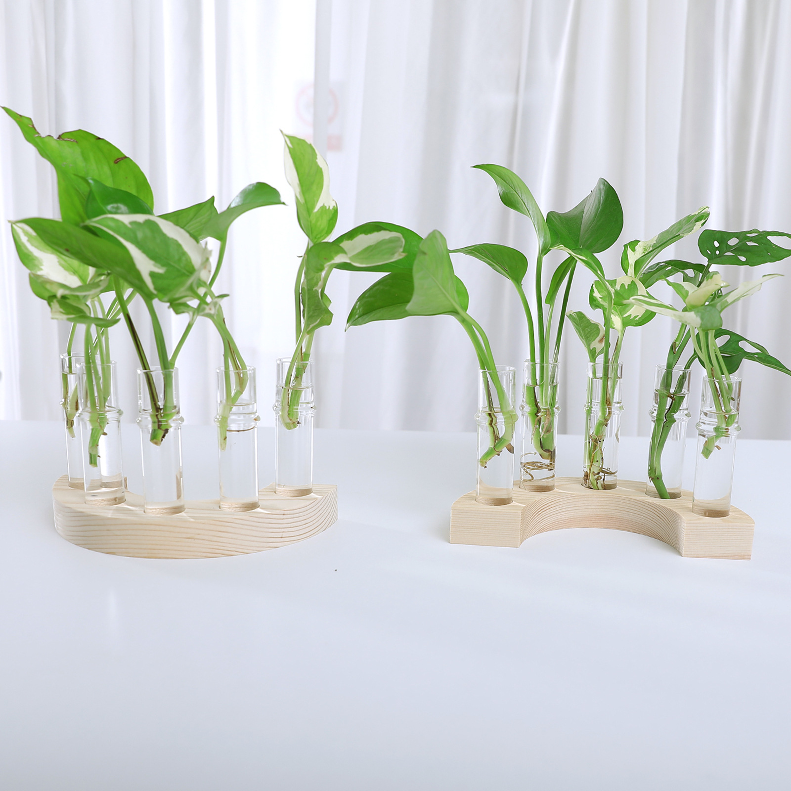 Una fila de jarrones de tubo de ensayo de madera maciza, jarrones de flores domésticas, jarrones hidropónicos, arreglos florales, adornos decorativos, jarrones de vidrio rojo de red